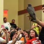 Biology Birds of Prey