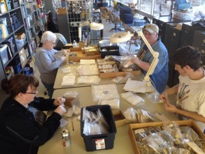 Our volunteer crew from the February Open Lab Saturday: Clockwise from bottom left: Shannin Schroeder, Verna Clark, Deana Clark Taylor, and James Cooper…busy reboxing Woodland artifacts from the Paw Paw site.