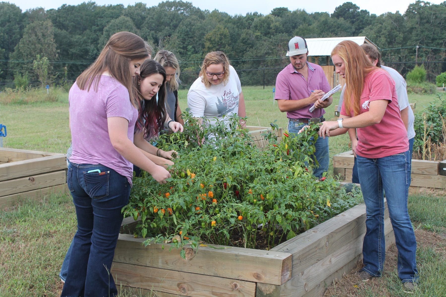 Agricultural Education | Academics | Southern Arkansas ...