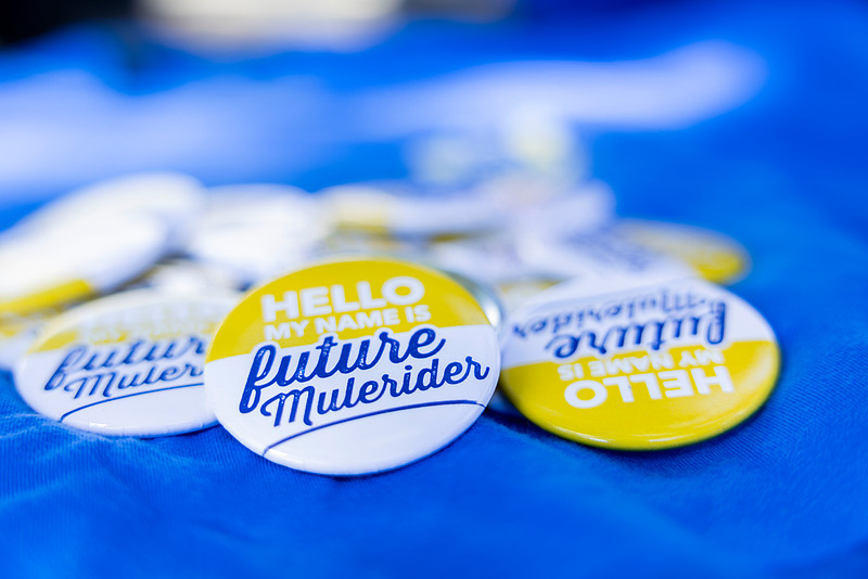Future Mulerider buttons