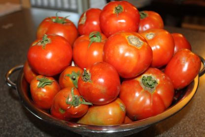 Fresh Tomato Bundle - Frozen
