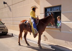 Mulerider and Molly at Starbucks