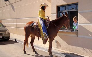 Mulerider and Molly at Starbucks