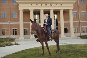 Dr. Rankin flexes his spurs as a mulerider