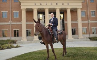 Dr. Rankin flexes his spurs as a mulerider