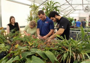 Agri working with plants in greenhouse