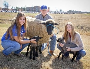 SAU Lambs with students Singleton, McCormick, and Hipp