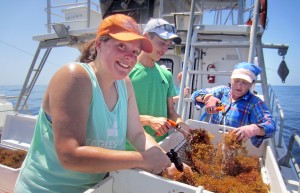 Marine Biology Ocean Research